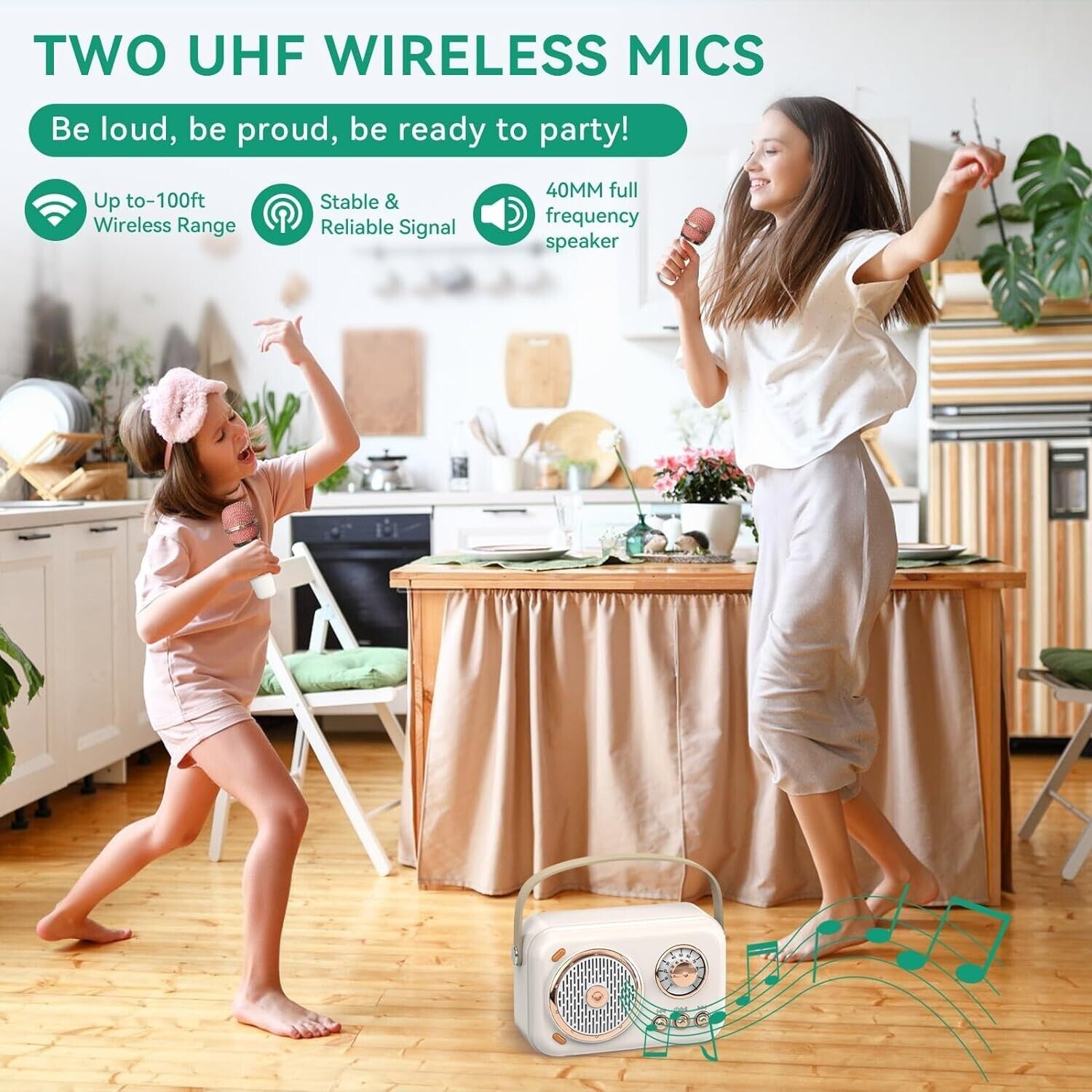 Portable Bluetooth Karaoke Speaker with Microphone Home Handheld Speaker Machine - 2