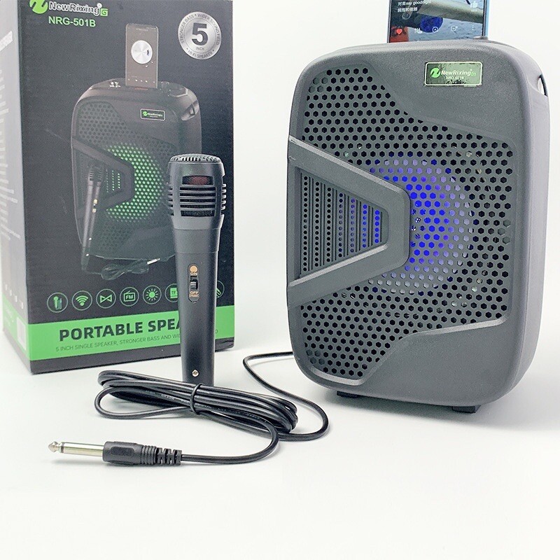 Portable Karaoke Machine Speaker with Microphone,Bluetooth 5.0, Wireless Speaker - 10