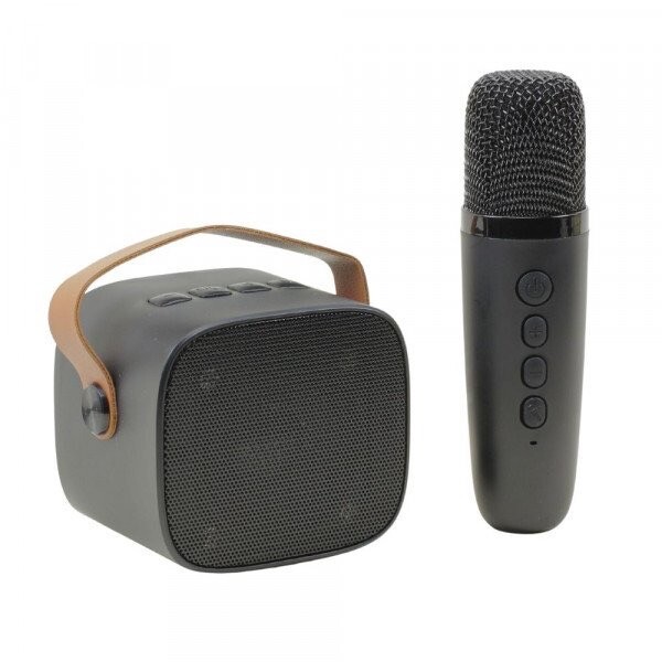 Bluetooth Speaker with Microphone Portable Karaoke Wireless Karaoke Black