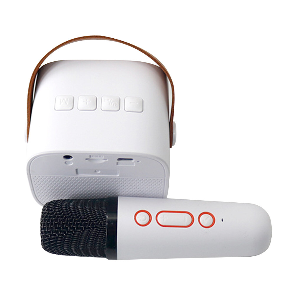 Mini Karaoke Speaker Portable Bluetooth Machine Wireless Microphone Kids - 11