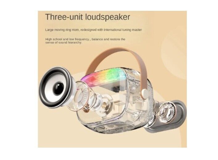 Mini Portable Karaoke Machine Bluetooth 5.0 PA System With 2 Mic Perfect Singing - 3