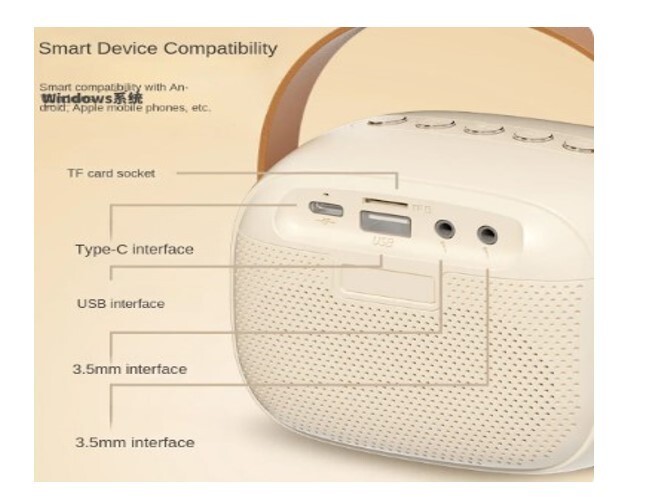 Mini Portable Karaoke Machine Bluetooth 5.0 PA System With 2 Mic Perfect Singing - 2