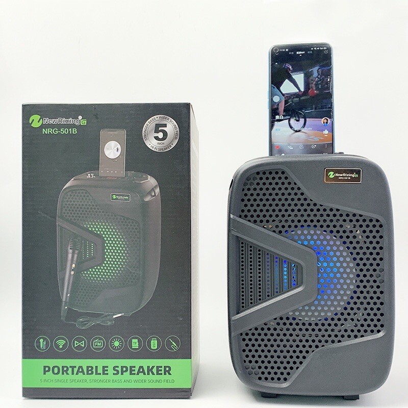 Portable Karaoke Machine Speaker with Microphone,Bluetooth 5.0, Wireless Speaker - 9
