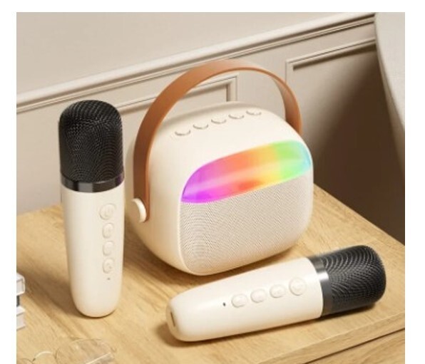 Mini Portable Karaoke Machine Bluetooth 5.0 PA System With 2 Mic Perfect Singing